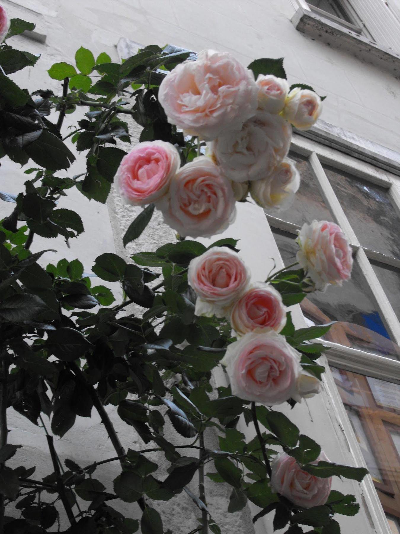 La Demeure Saint-Ours Bed & Breakfast Loches Dış mekan fotoğraf